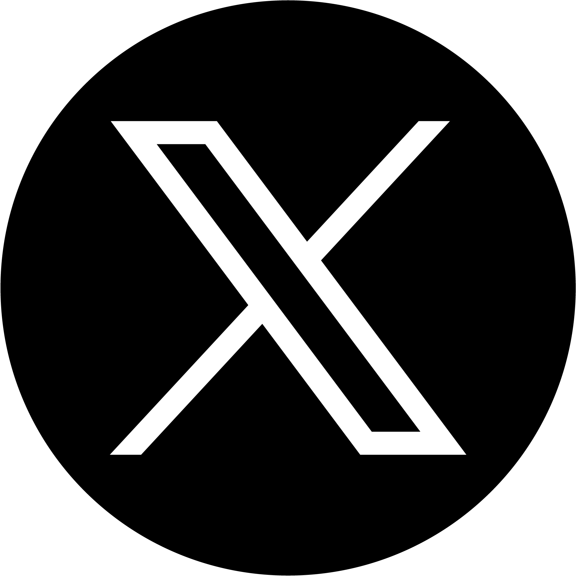 X Icon
